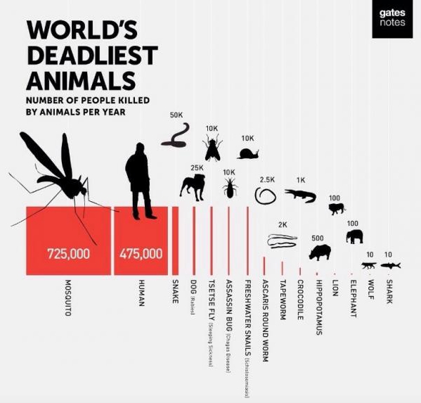 动物界人类杀手排行榜