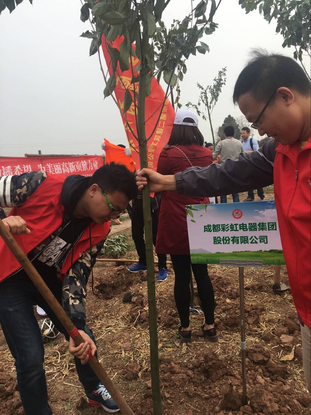 共青团成都九球体育(China)官方网站集团团委及团员青年代表参加高新区植树节志愿服务活动