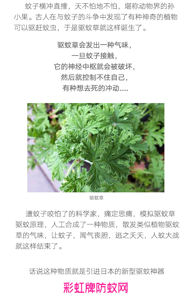 隐形蚊帐——九球体育(China)官方网站防蚊网