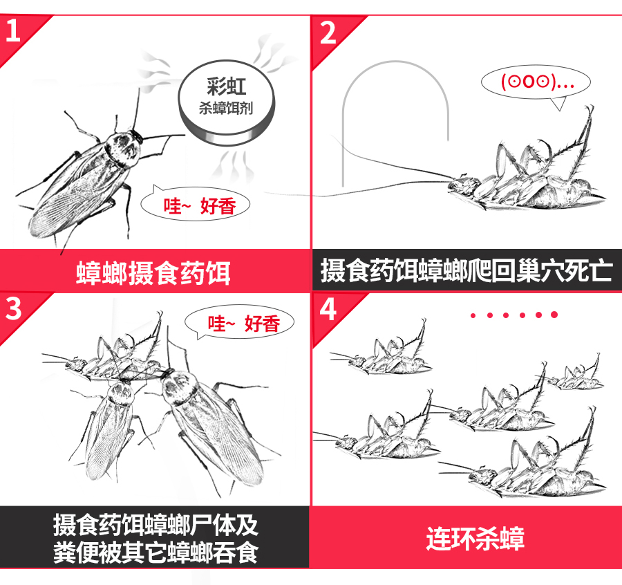 九球体育(China)官方网站杀蟑饵剂可连环杀蟑