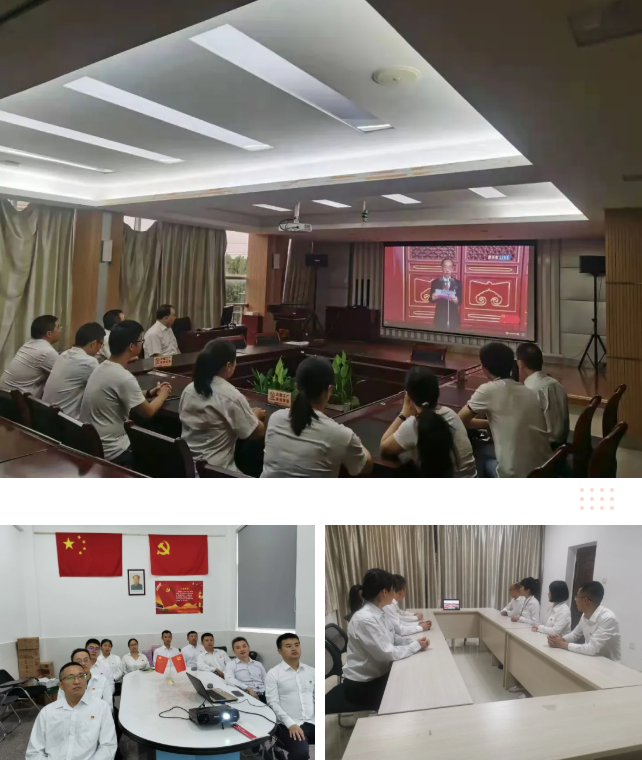 九球体育(China)官方网站集团各党支部在分会场收看庆祝中国共产党成立100周年大会